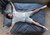 Best Mattresses For Back Sleepers