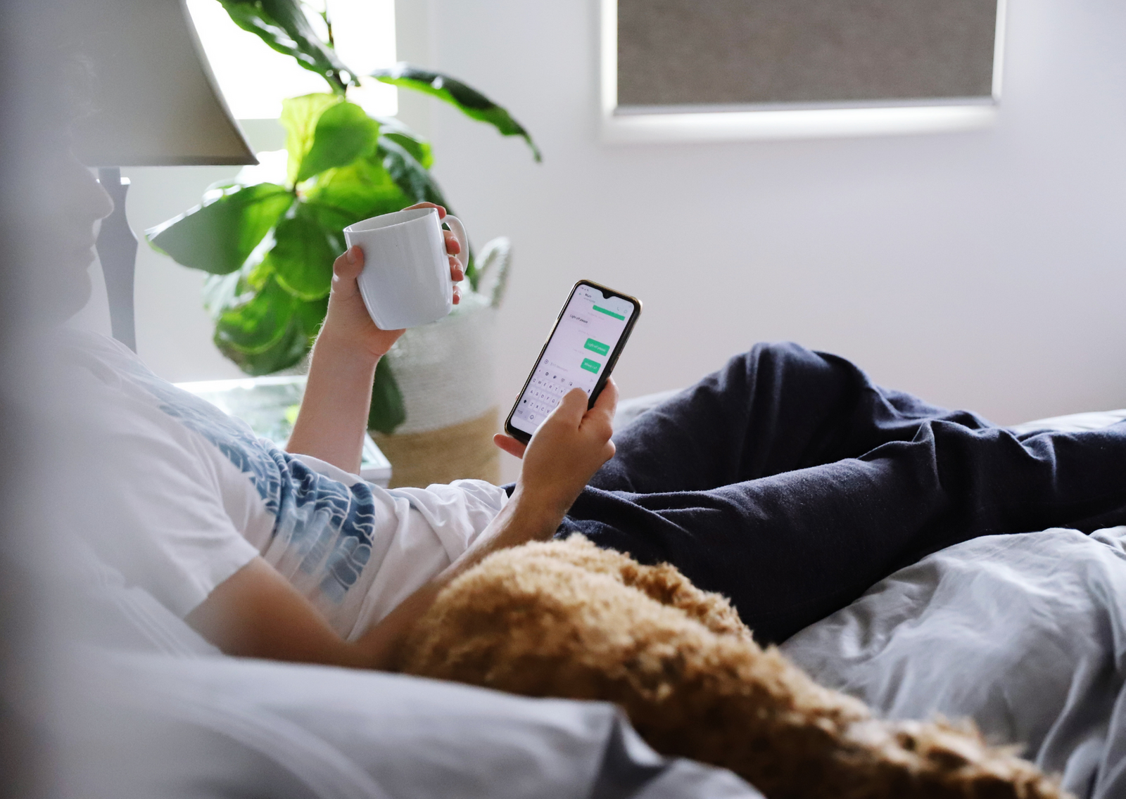 Fun Facts about beds.