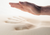 What is a Memory Foam Mattress?
