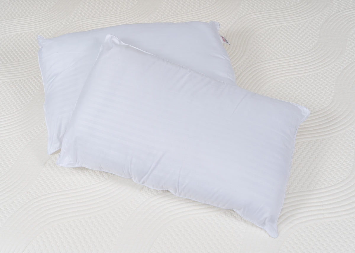 Aine Ryan Hotel Quality Luxury  Pillows - Twin Pack
