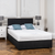 DFI Black Charcoal Edition Divan  Set With Mattress Option