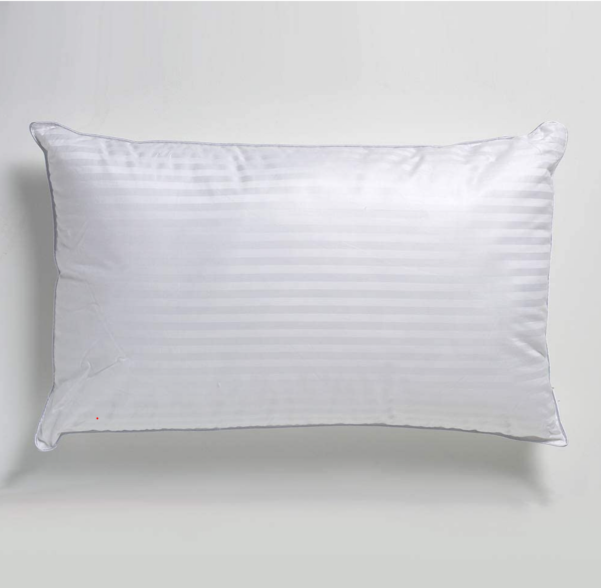 Aine Ryan Hotel Quality Luxury  Pillows - Twin Pack (4847415230535)